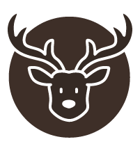 out/pictures/discount_banner/019abac7-1f69-7c63-869f-42c1d4193f21.png Vista de la imagen