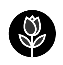 out/pictures/discount_banner/019c9a49-fa21-7ffd-82c6-ecc38bc56528.png Vista de la imagen