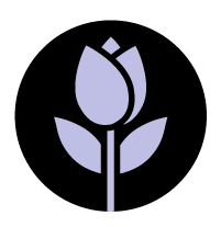 out/pictures/discount_banner/019cae55-622f-763a-8f9b-af3c155931c8.png Vista de la imagen