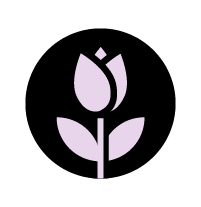 out/pictures/discount_banner/019db9be-3759-796c-a5d2-b986bbcb78d5.png Vista de la imagen