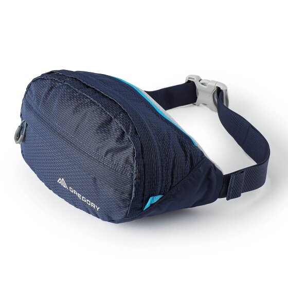 Gregory Nano 3.5 Riñonera 33 cm