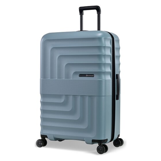 Eminent Dandelion 4 ruedas Carrito L 77 cm con pliegue de expansión