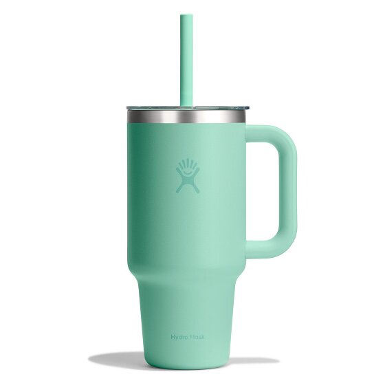 Hydro Flask Tumblers Taza para beber 946 ml