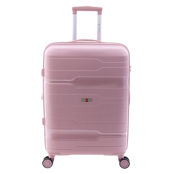 Gladiator 3800 4 ruedas Carrito 67 cm con pliegue de expansión