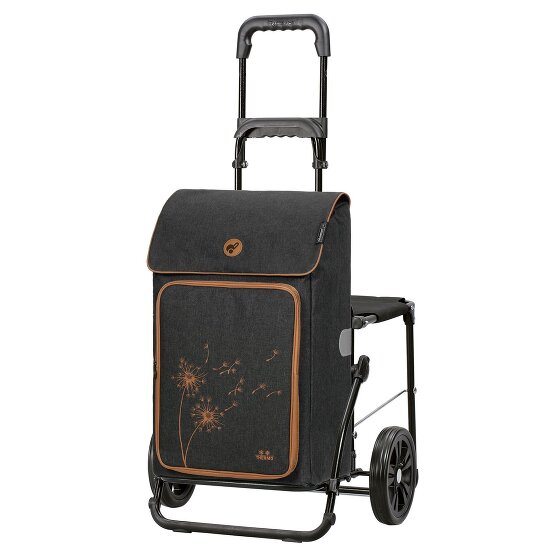 Andersen Shopper Komfort Shopper Erbo Carro de la compra 58 cm