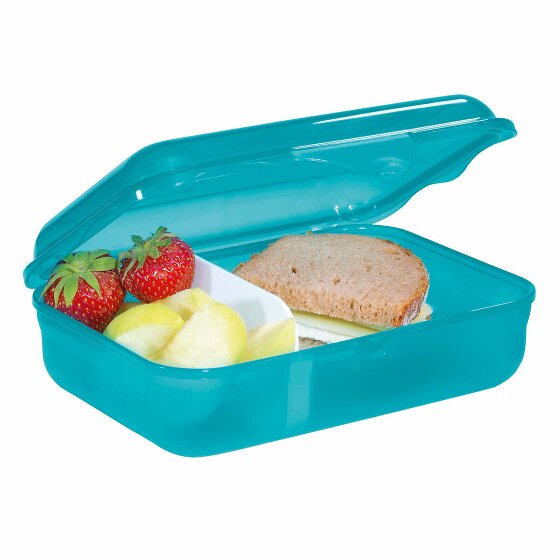 Step by Step Caja de almuerzo 18 cm