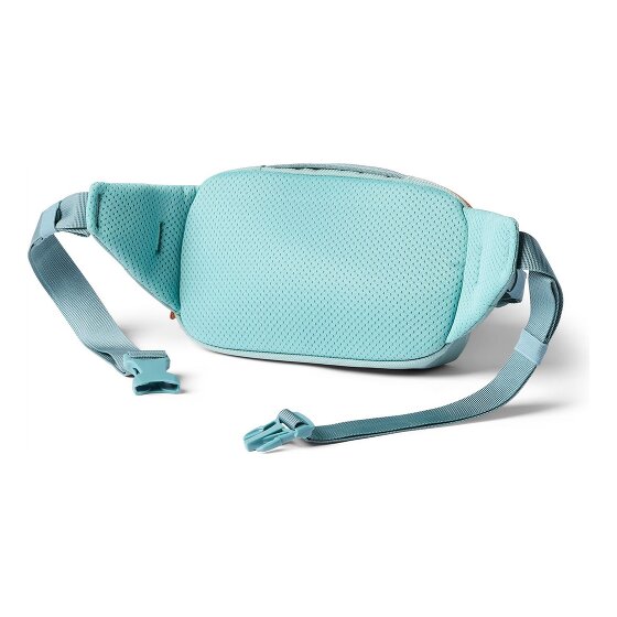 Cotopaxi Allpa Riñonera 24 cm