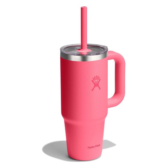 Hydro Flask Tumblers Taza para beber 710 ml