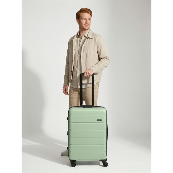 Saxoline Miami 4 ruedas Carrito M 65 cm con pliegue de expansión