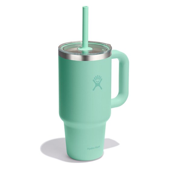 Hydro Flask Tumblers Taza para beber 946 ml