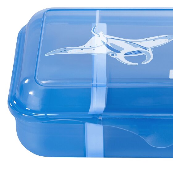 Step by Step Caja de almuerzo 18 cm