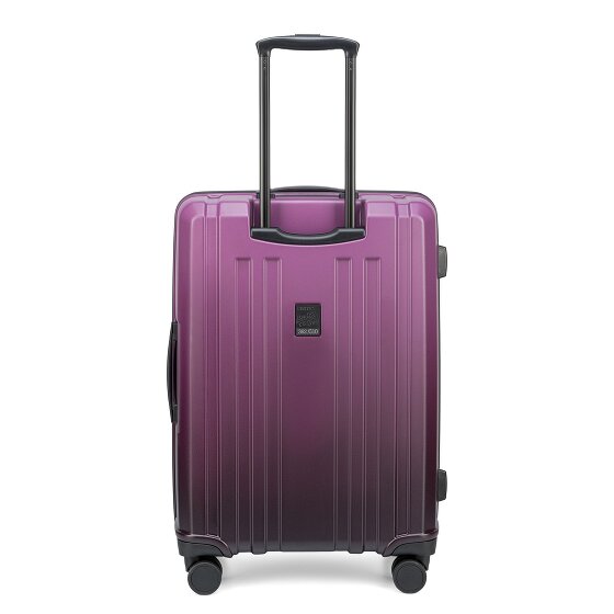 Epic Crate EX Wildlife 4 ruedas Juego de maletas 3 piezas