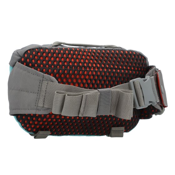 Dakine Hot Laps 1 Riñonera 17 cm