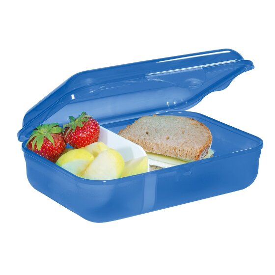 Step by Step Fiambrera 18 cm