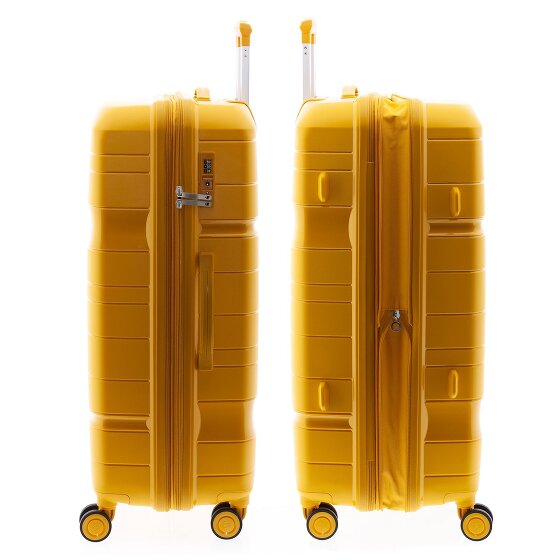 Gladiator 3800 4 ruedas Carrito 77 cm con pliegue de expansión