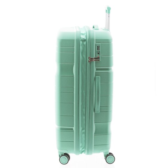 Gladiator 3800 4 ruedas Carrito 77 cm con pliegue de expansión