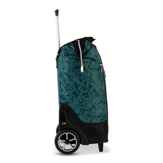 Punta Big Wheel Carro de la compra 62 cm