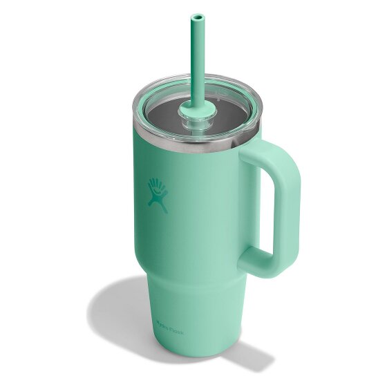 Hydro Flask Tumblers Taza para beber 946 ml