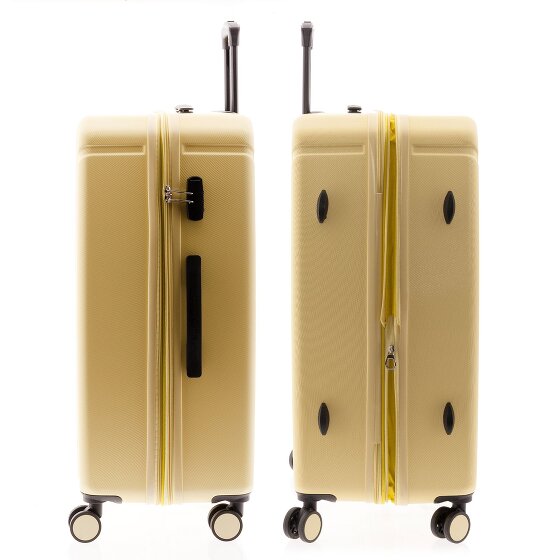 Gladiator 2900 4 ruedas Carrito L 77 cm con pliegue de expansión