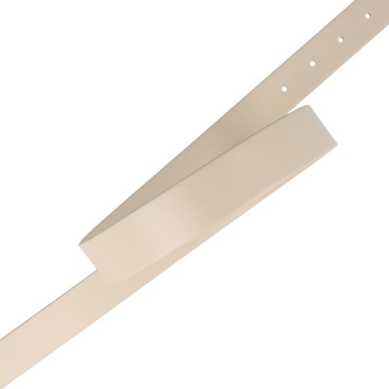 Cavalli Class Cinturón