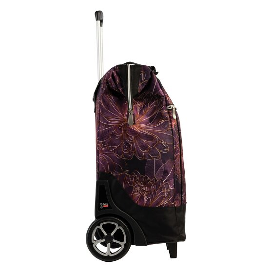 Punta Big Wheel Carro de la compra 62 cm