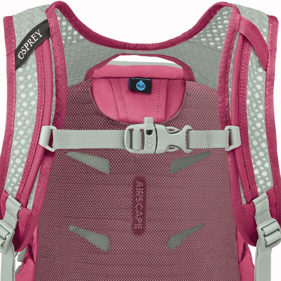 Osprey Daylite Mochila de senderismo 40.5 cm