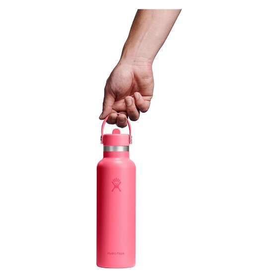 Hydro Flask Hydration Standard Flex Straw Cap Botella para beber 620 ml
