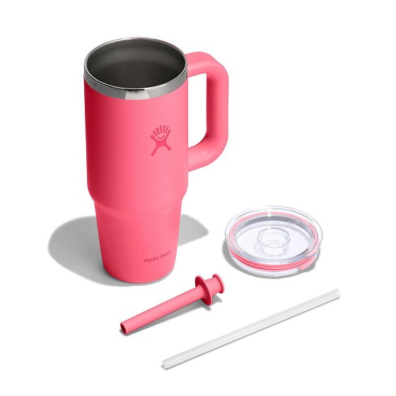 Hydro Flask Tumblers Taza para beber 710 ml