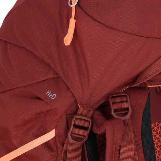 Salewa Mochila Alp Trainer 30L 65 cm