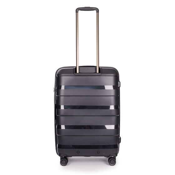 Stratic Paja + Carro de 4 ruedas 65 cm