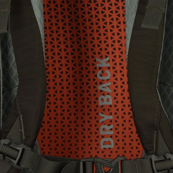 Salewa Mochila Alp Trainer 35L 65 cm