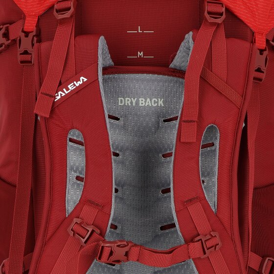 Salewa Mochila Alptrek 50 77 cm