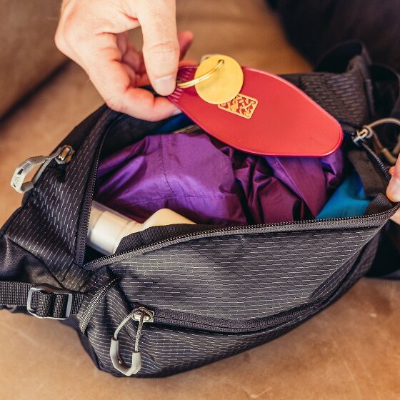 Gregory Nano Riñonera 33 cm