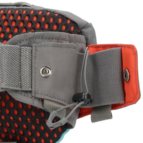 Dakine Hot Laps 1 Riñonera 17 cm