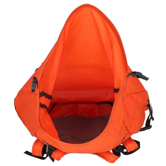 Salewa Mochila Ortles Wall 38L 64 cm
