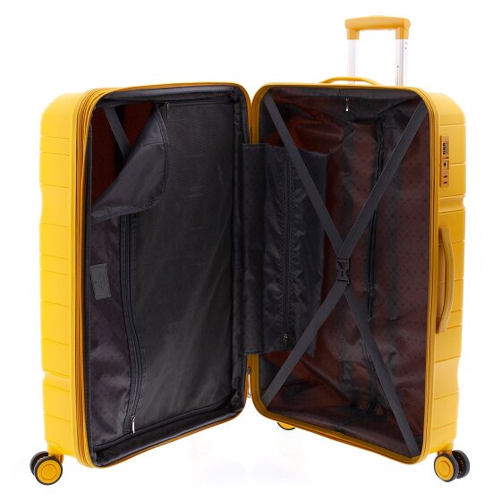 Gladiator 3800 4 ruedas Carrito 77 cm con pliegue de expansión