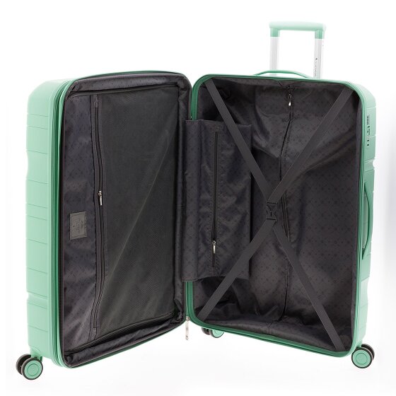 Gladiator 3800 4 ruedas Carrito 77 cm con pliegue de expansión