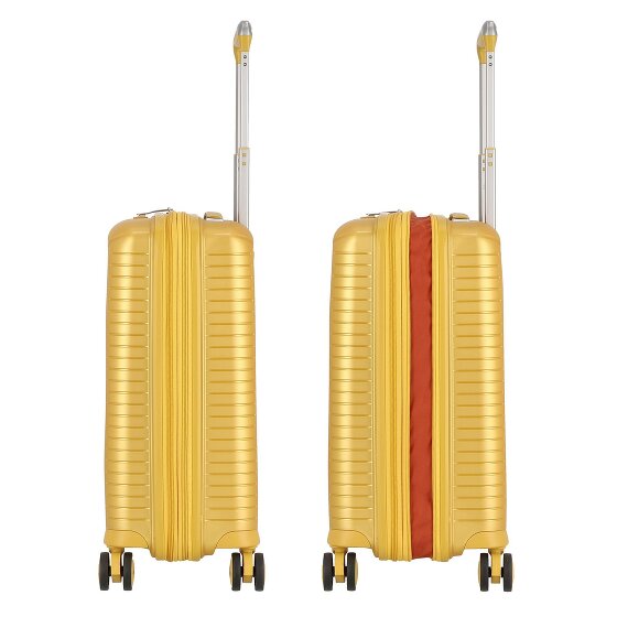 Jump Evae 4 ruedas Carro de la cabina 55 cm con pliegue de expansión