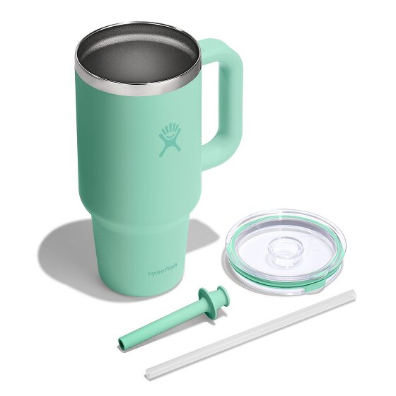 Hydro Flask Tumblers Taza para beber 946 ml