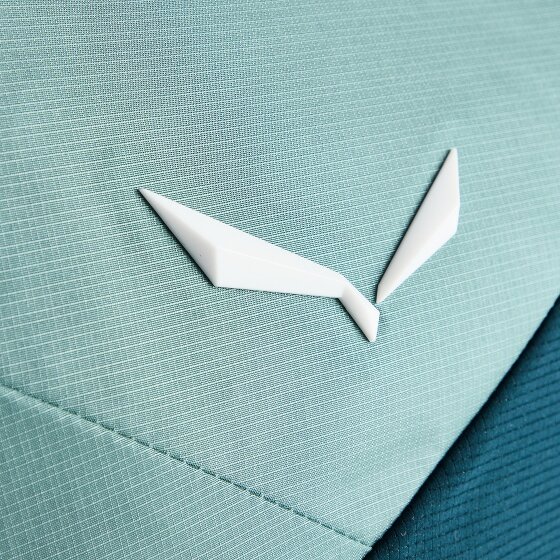 Salewa Pedroc Core 22 L Mochila de senderismo 52 cm