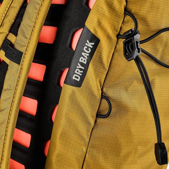 Salewa Pedroc Active Mochila de senderismo 44 cm