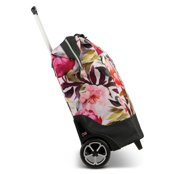 Punta Big Wheel Carro de la compra 62 cm