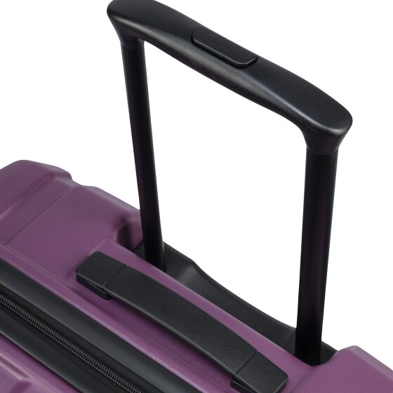 Epic Crate EX Wildlife 4 ruedas Juego de maletas 3 piezas