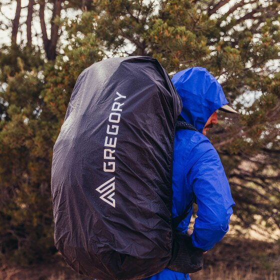 Gregory Baltoro 100 Mochila de trekking 96 cm