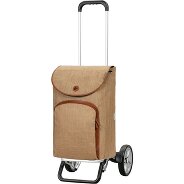 Andersen Shopper Alu Star Shopper Reik Carro de la compra 59 cm Foto del producto