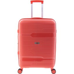Gladiator 3800 4 ruedas Carrito 67 cm con pliegue de expansión  Modelo 4