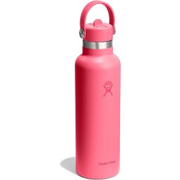 Hydro Flask Hydration Standard Flex Straw Cap Botella para beber 620 ml  Modelo 9