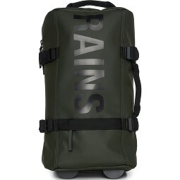 Rains Texel 2 ruedas Carro de la cabina S 54 cm  Modelo 2