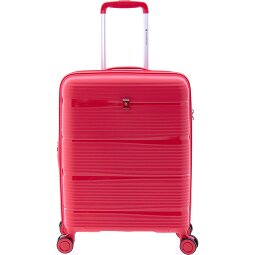 Gladiator 0800 4 ruedas Carrito 55 cm con pliegue de expansión  Modelo 7