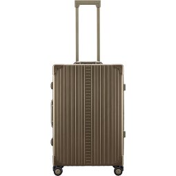 Aleon Carro de 4 ruedas Traveler 67 cm  Modelo 1